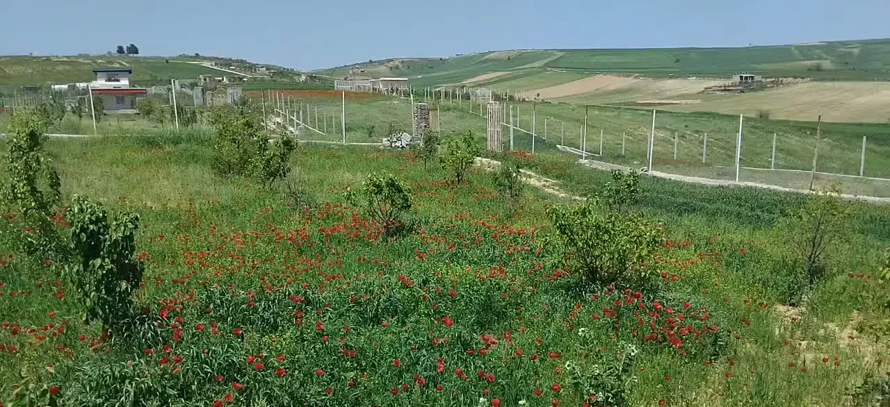باغ با تمام امکانات