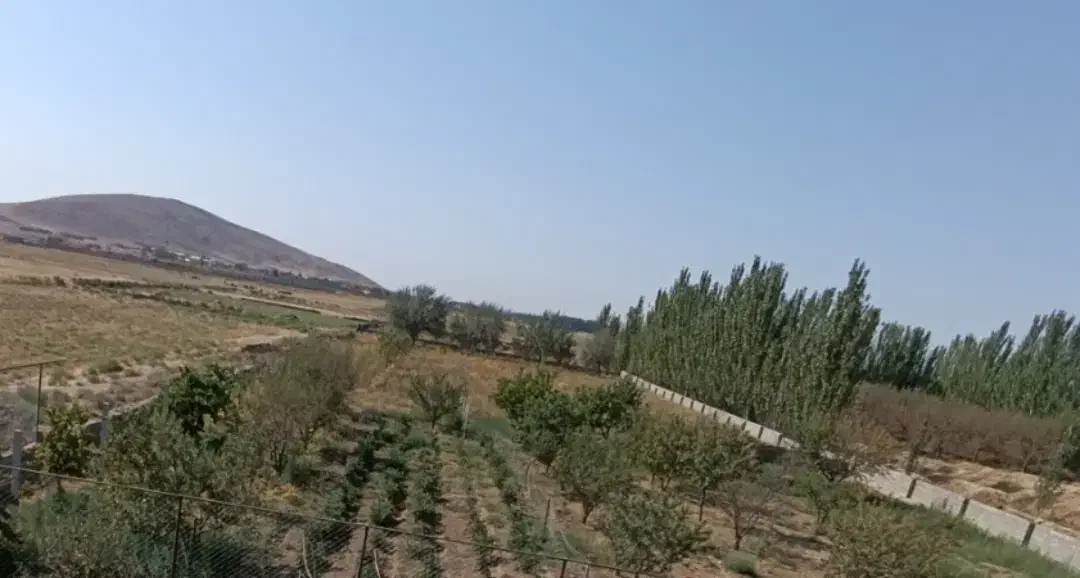 زمین بغل محدوده