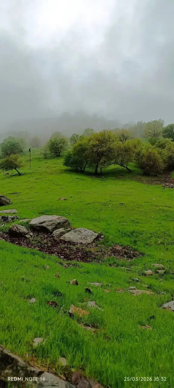 زمین جاده تونل
