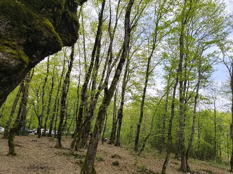 آرپارتمان ۱۴۰ متری دوخواب شیک