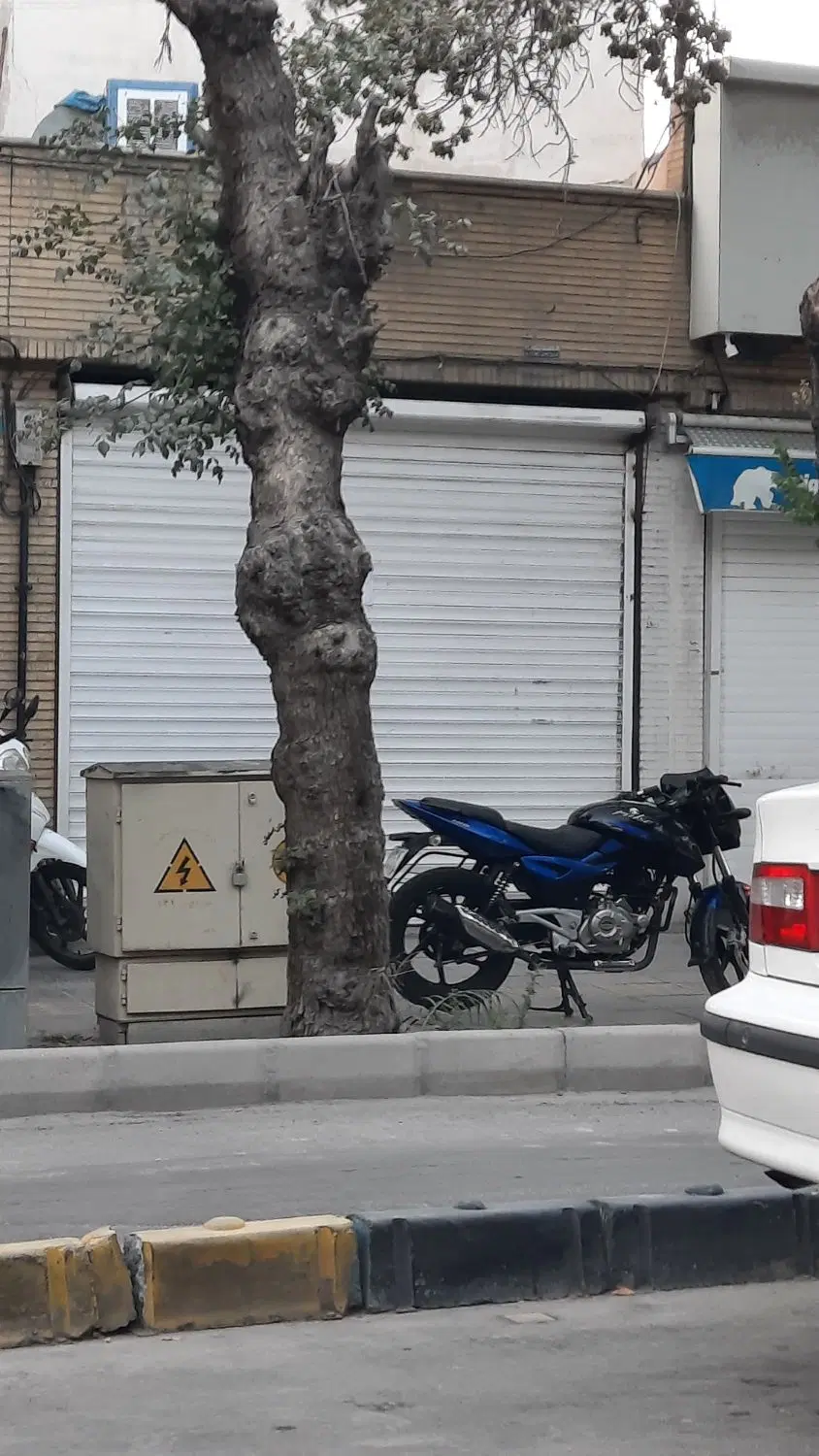 اجاره مغازه ۱۵متری شکرشکن
