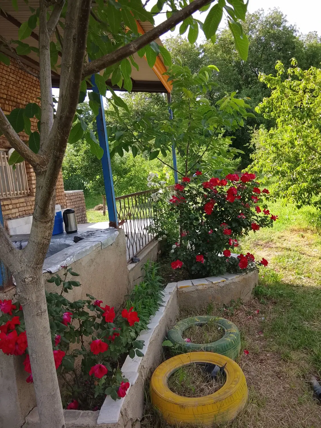 باغ ۲۰۰۰ متری روستای چوتاش