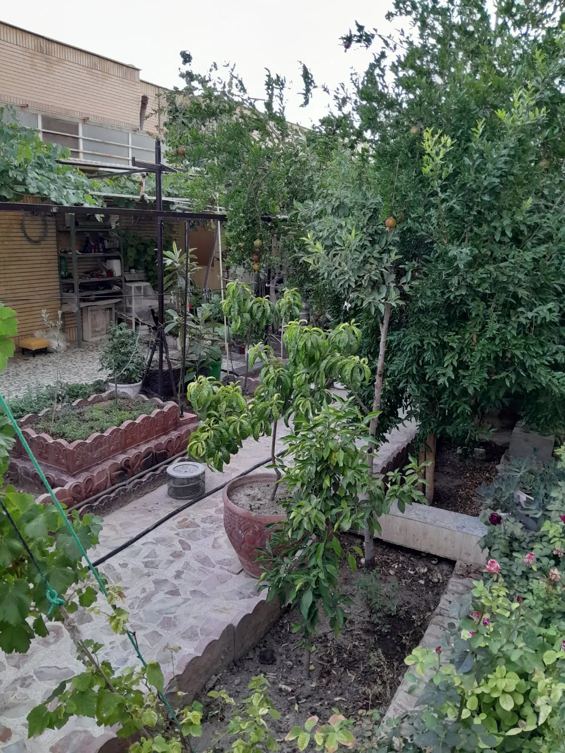 معاوضه دوطبقه هشت بهشت