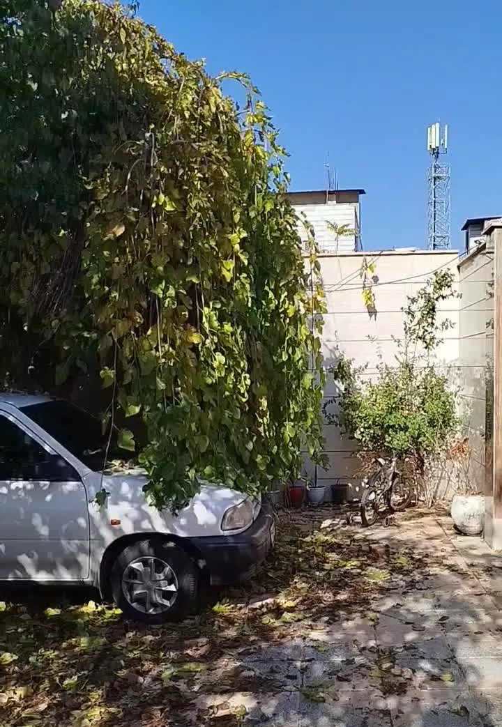 خونه ویلایی دو خواب با درختان فراوان