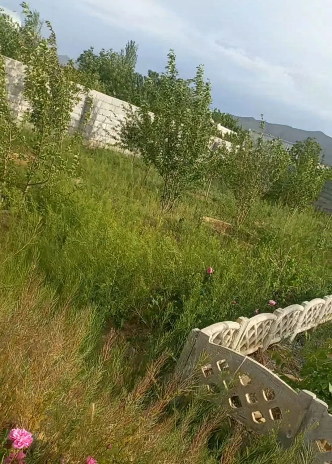 باغ مرزگران ۸۰۰ متری