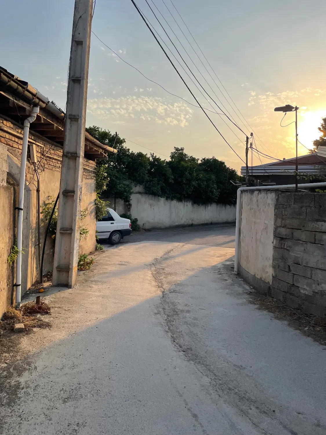 زمین ۲۲۶ متری در نزدیکی ساری