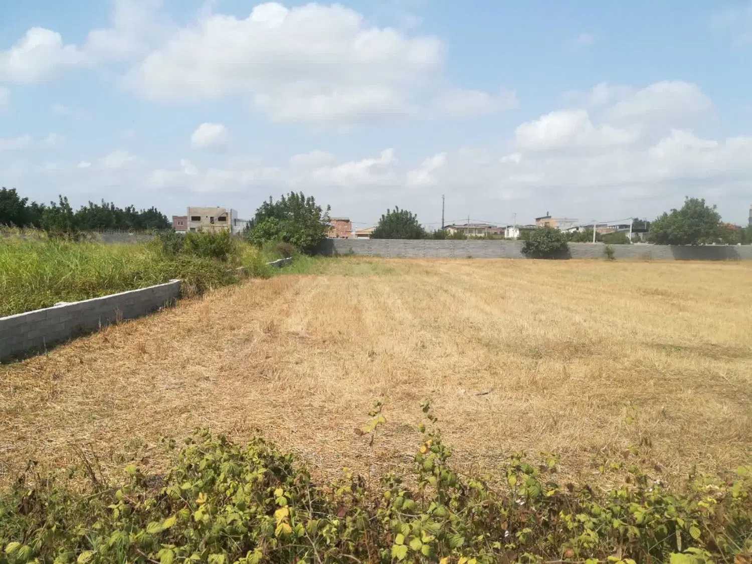 زمین مسکونی زراعی