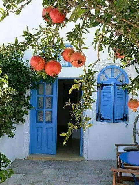 رهن واجاره باغمیشه شیت ۷