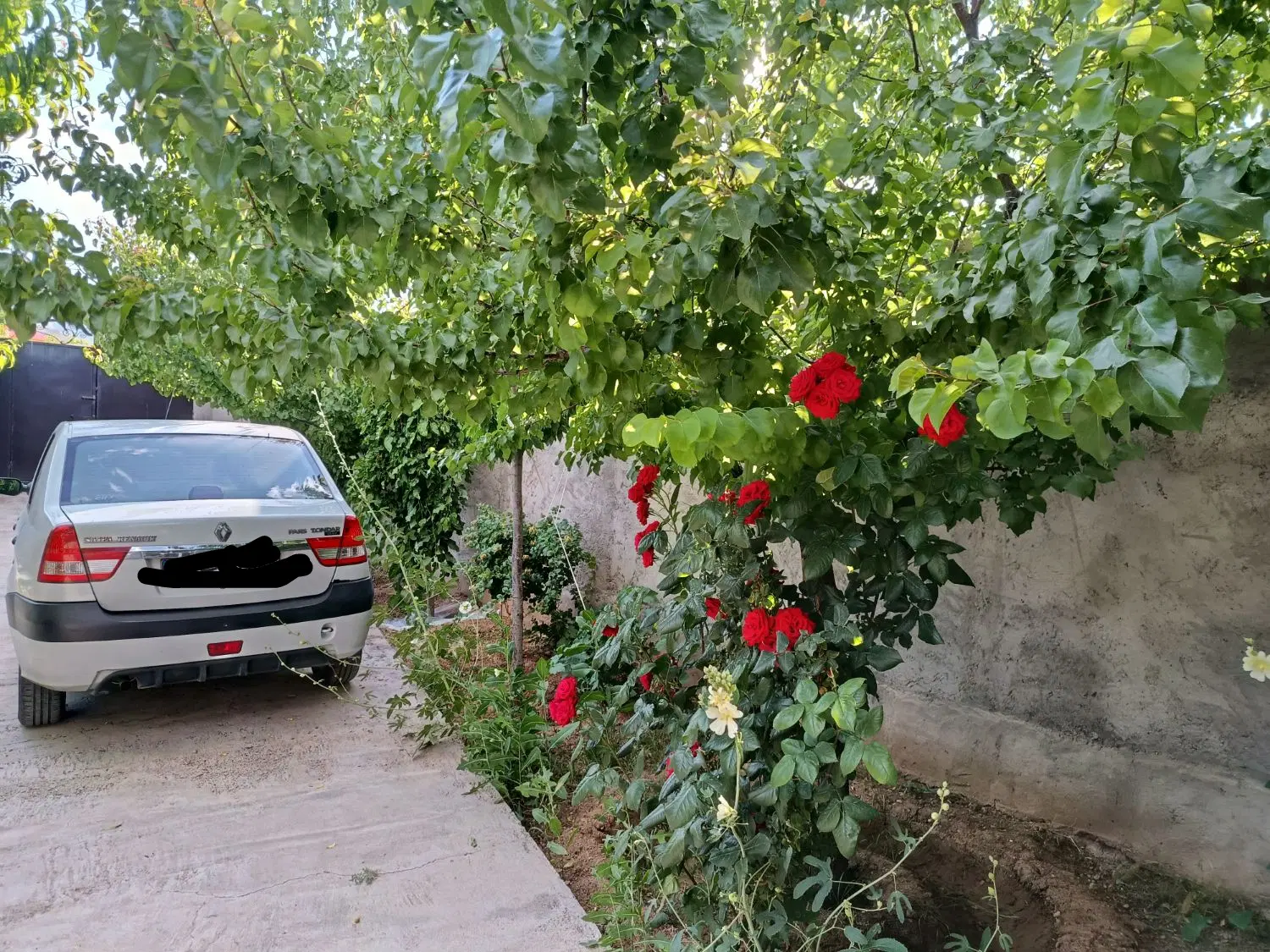 ویلا باغ و زمین ویلایی در زین آباد