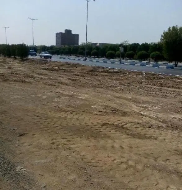 زمین کلنگی