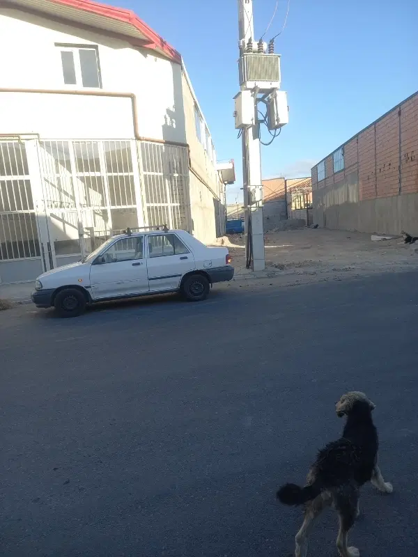 اجاره سالن به متراژ ۳۰۰متری