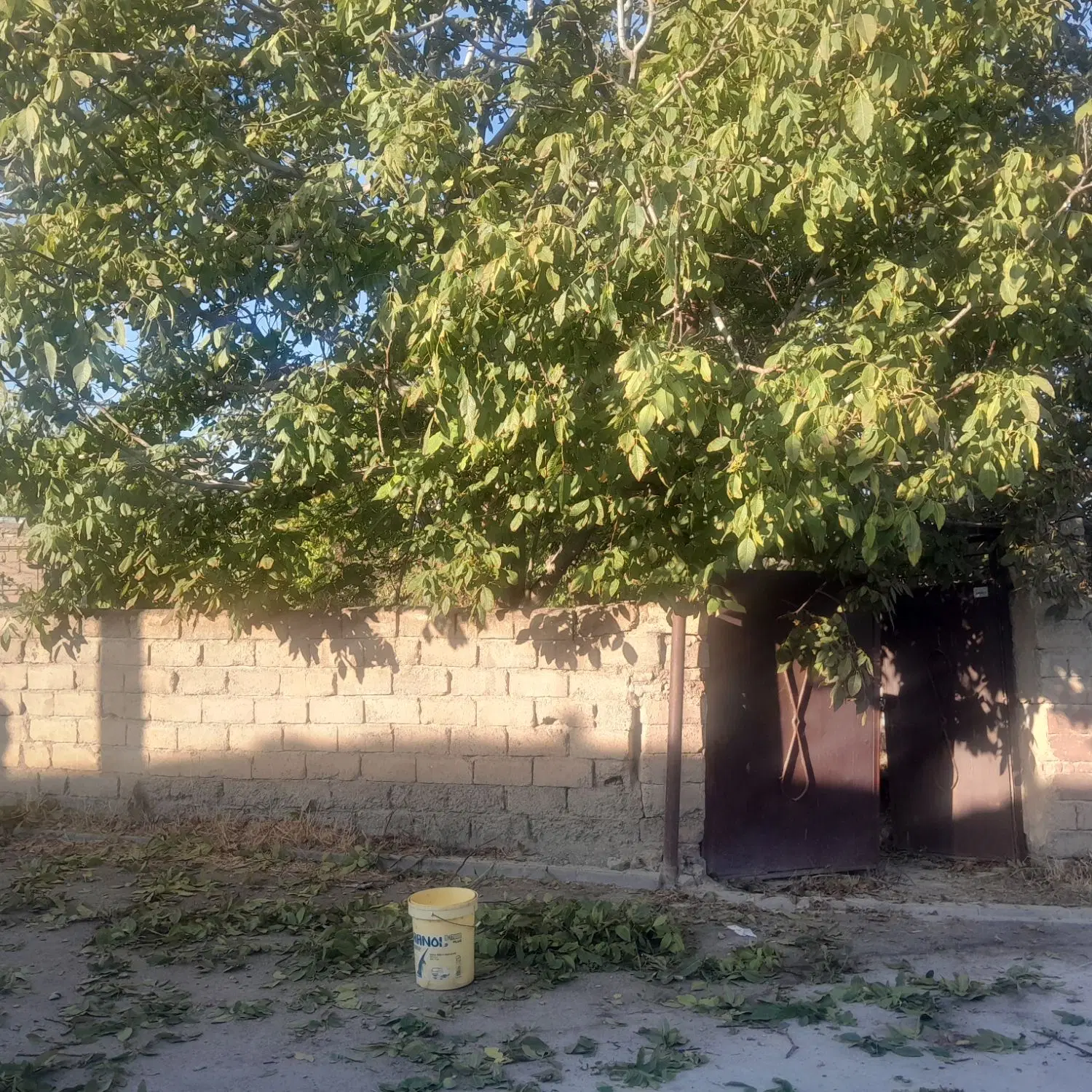 منزل مسکونی املاک امیر