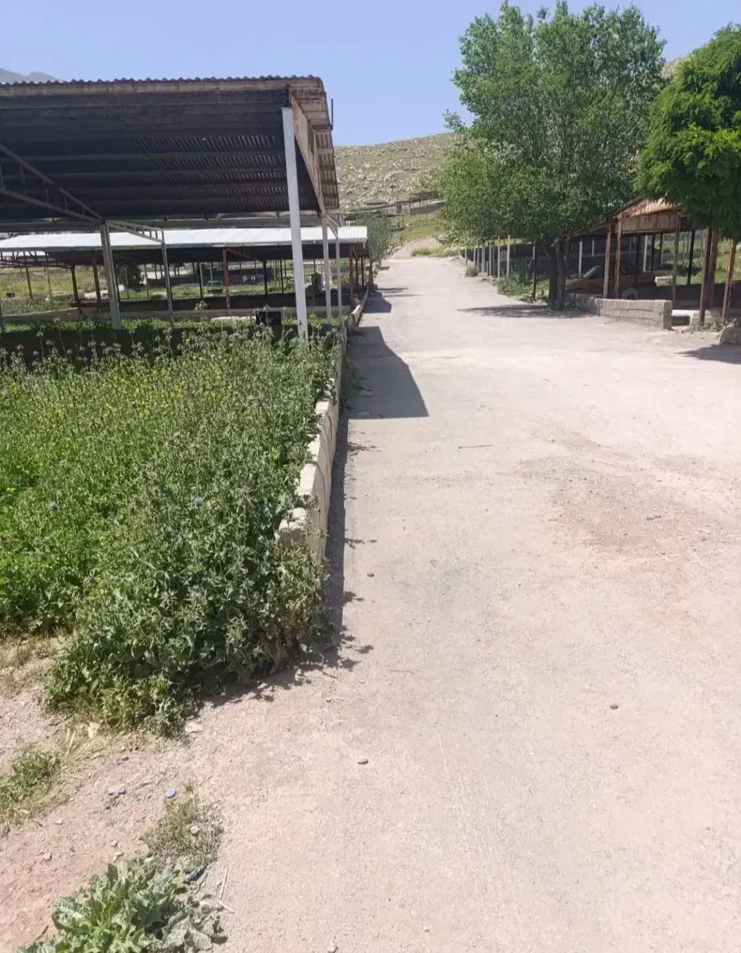زمین قبر
