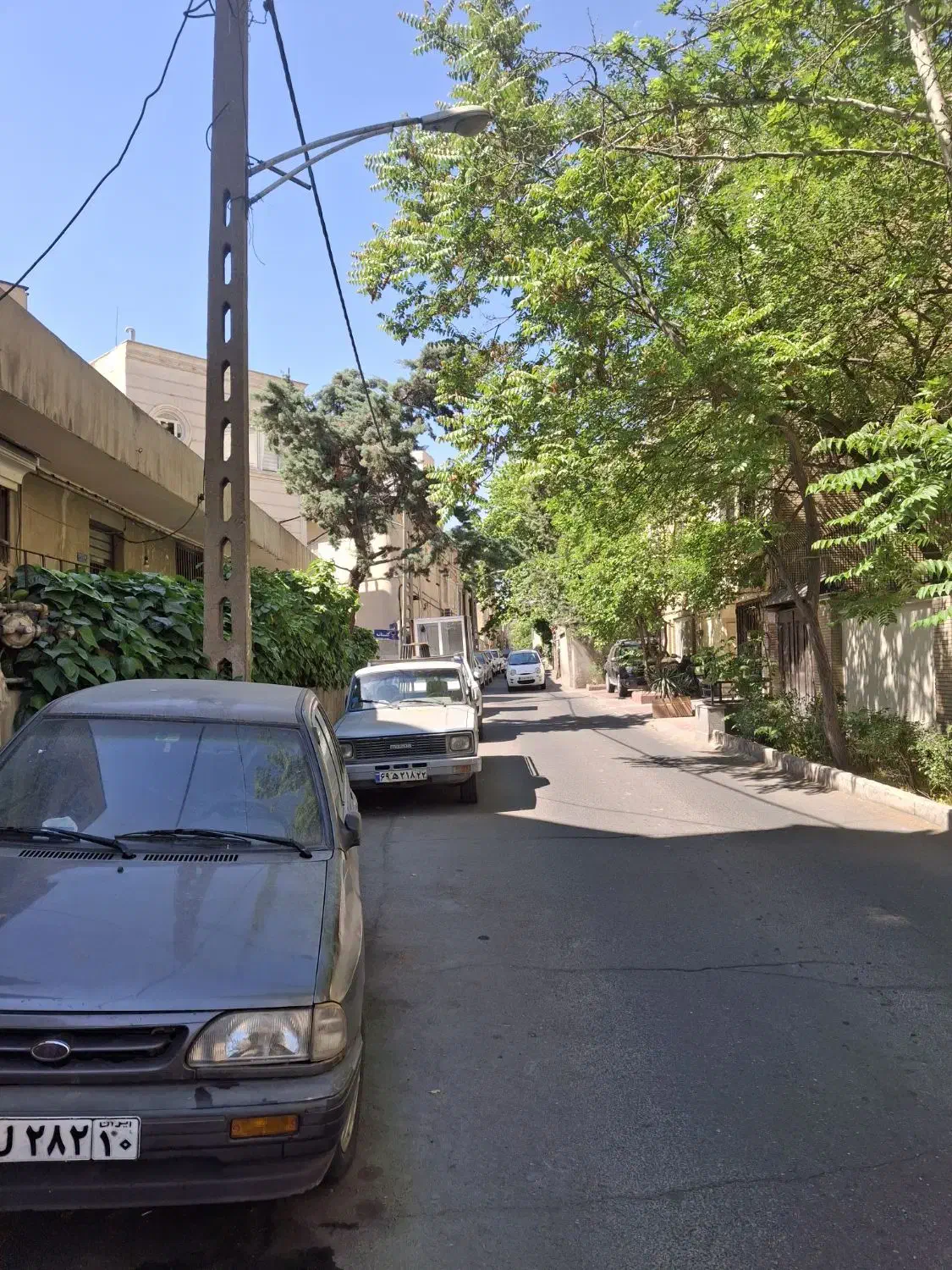 مستقلات نقلی در قلب زعفرانیه