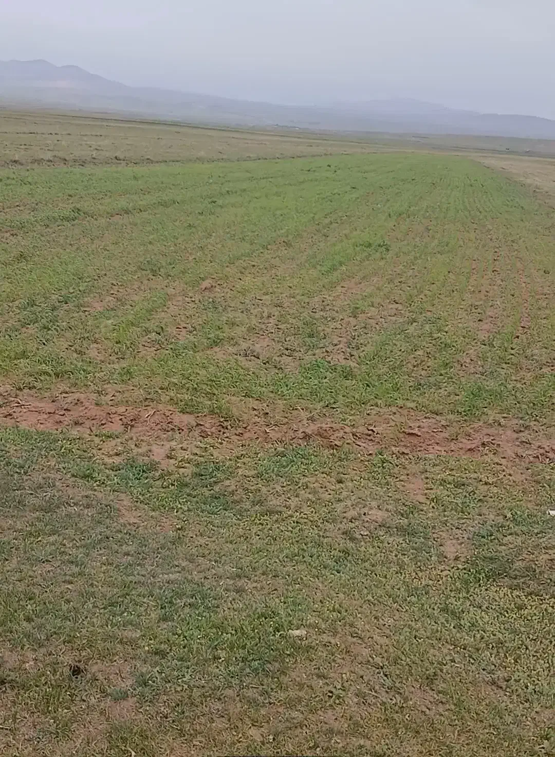 مسکونی  روستایی شارک ورمهنگ  اسنم