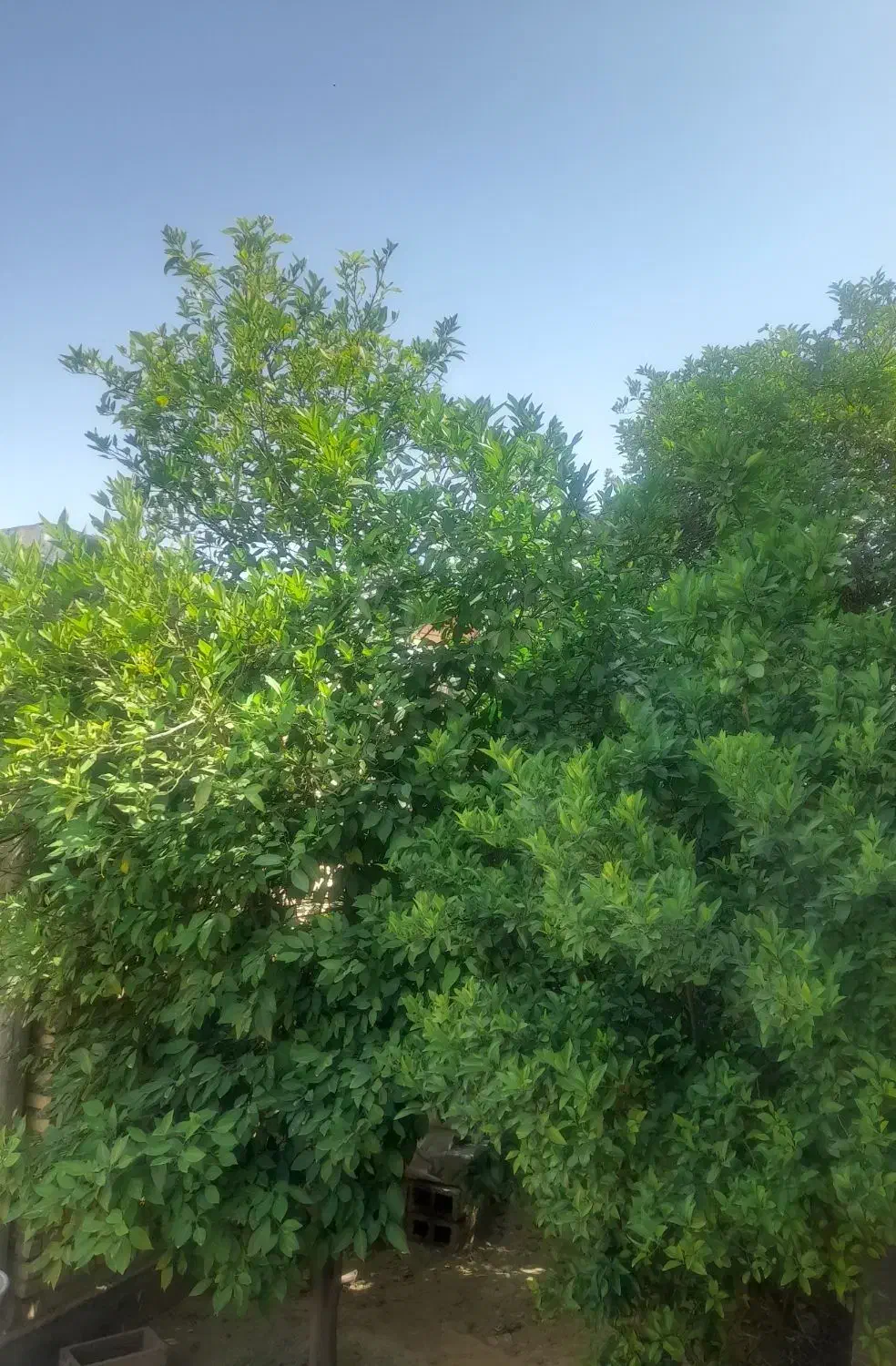 فروش منزل مسکونی ویلایی دوطبقه