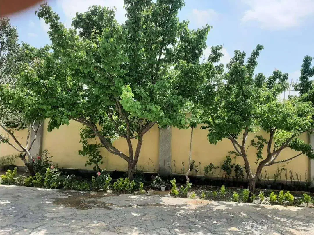 فروش تجاری ۱۱۰۰ متر