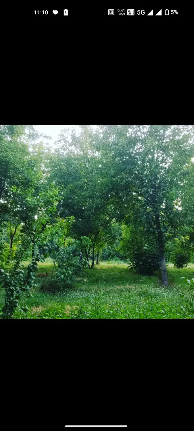 1000 متری با کوچه باغ اختصاصی دهبوره راه
