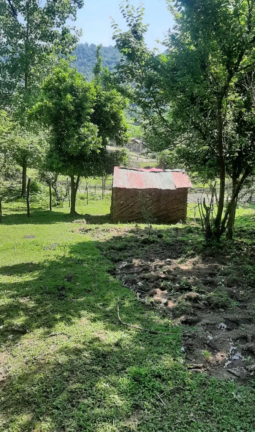 زمین  ۳۲۵متر