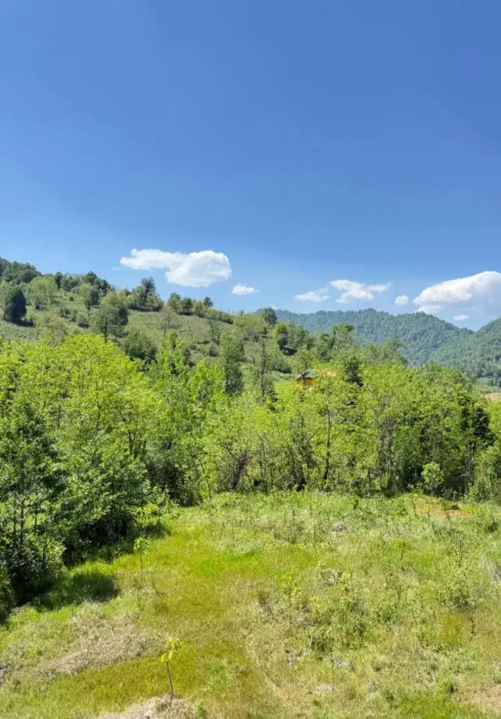 زمین کوهپایه ۳۱۶ متر مسکونی روستای ملسکام فومن