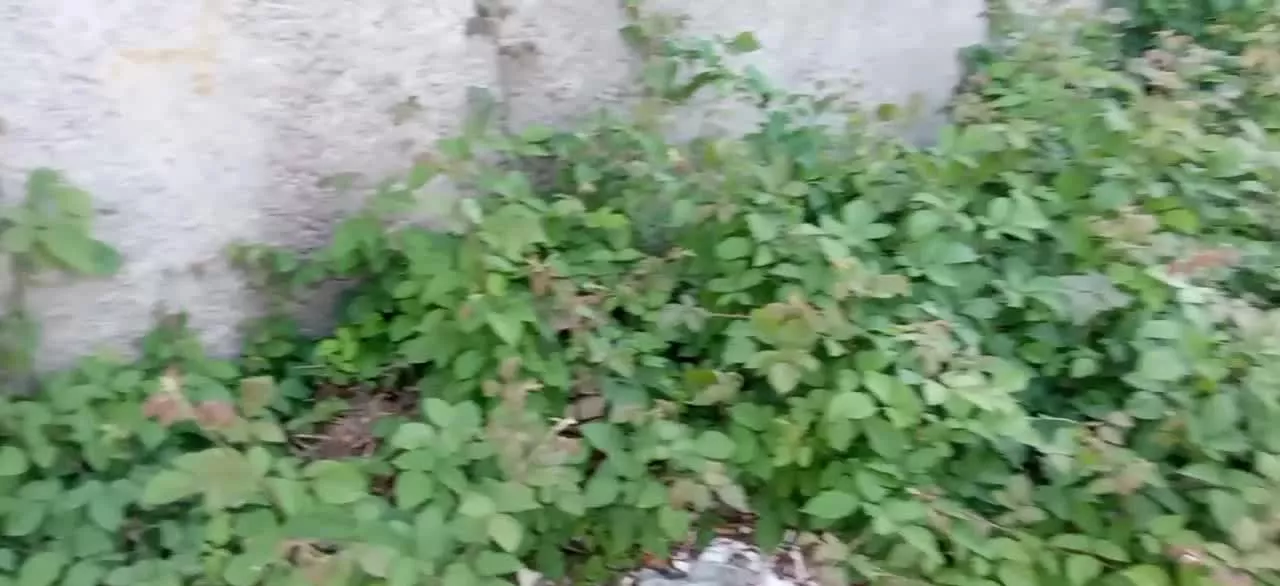 فروش زمین مسکونی