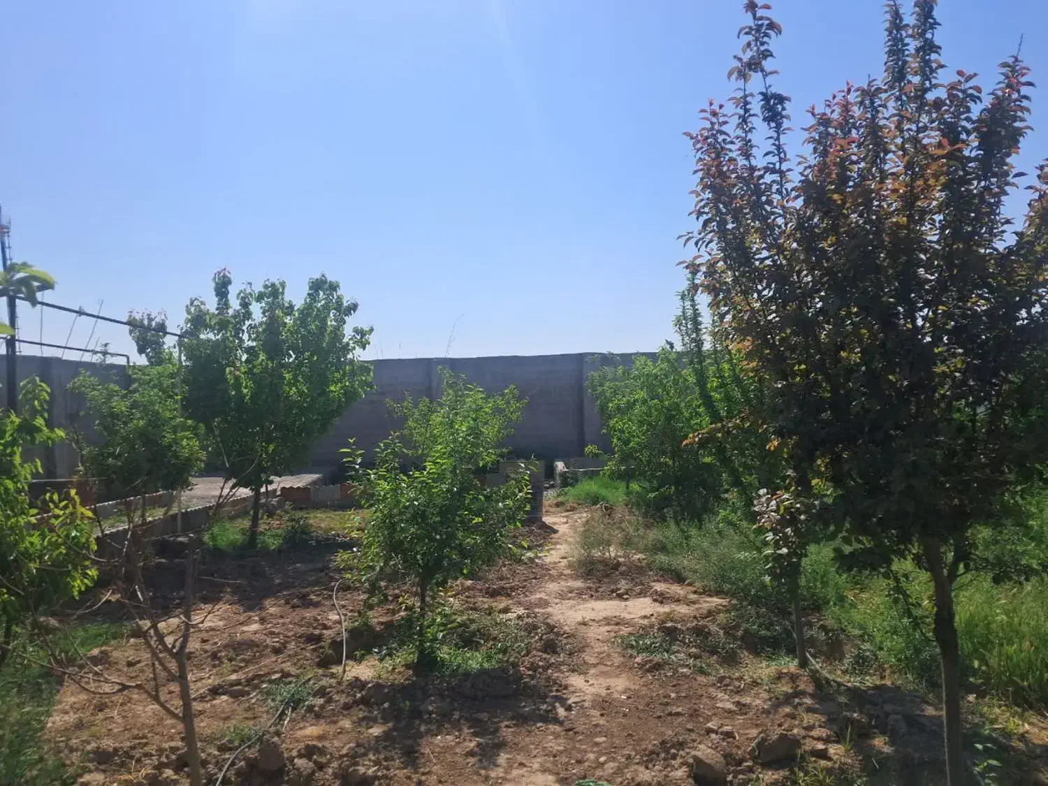 باغچه چهاردیواری