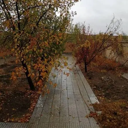 ویلایی مهاجران