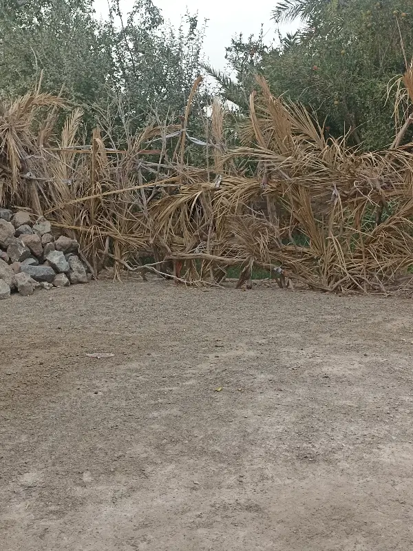 فروش زمین
