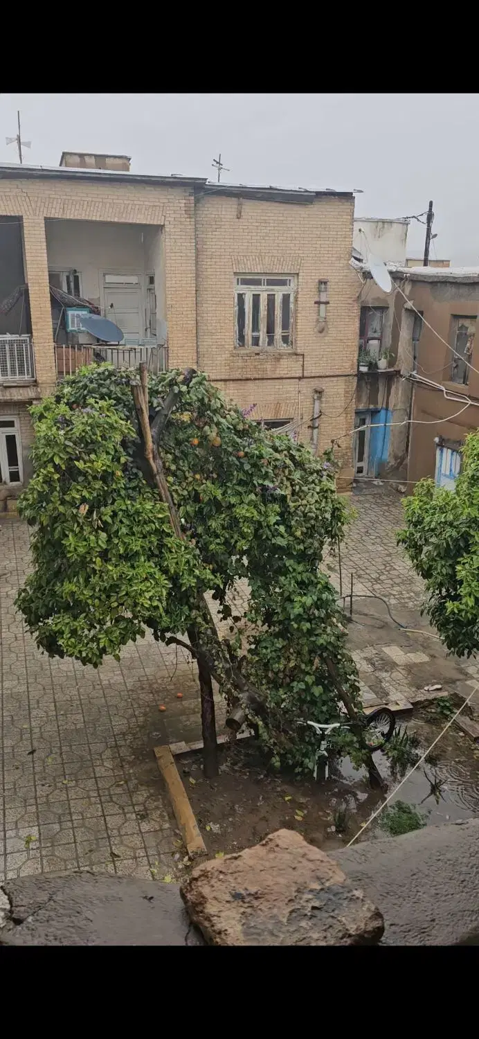 اتاق اجاره ای تمیز