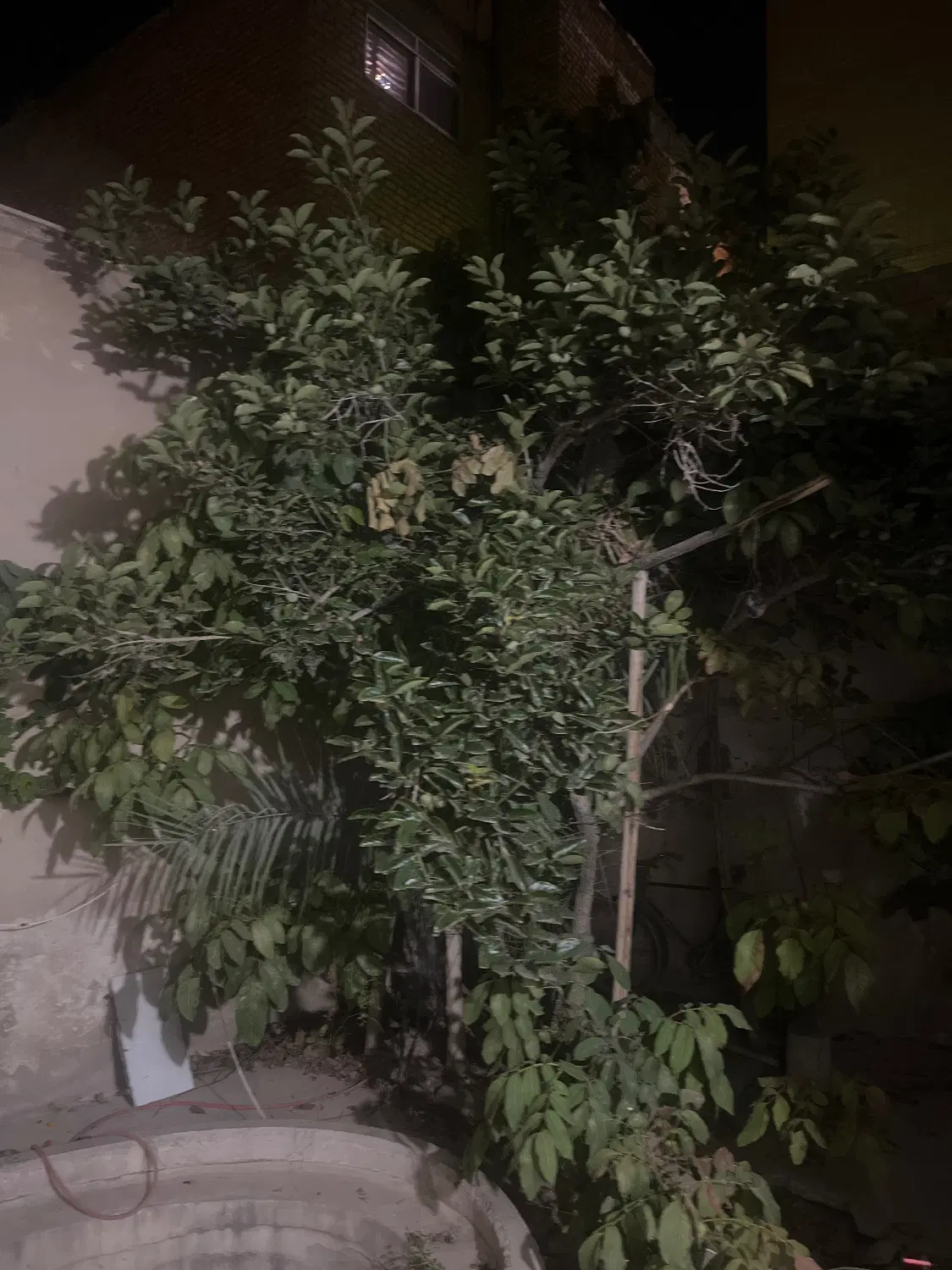 فروش خانه قدیمی