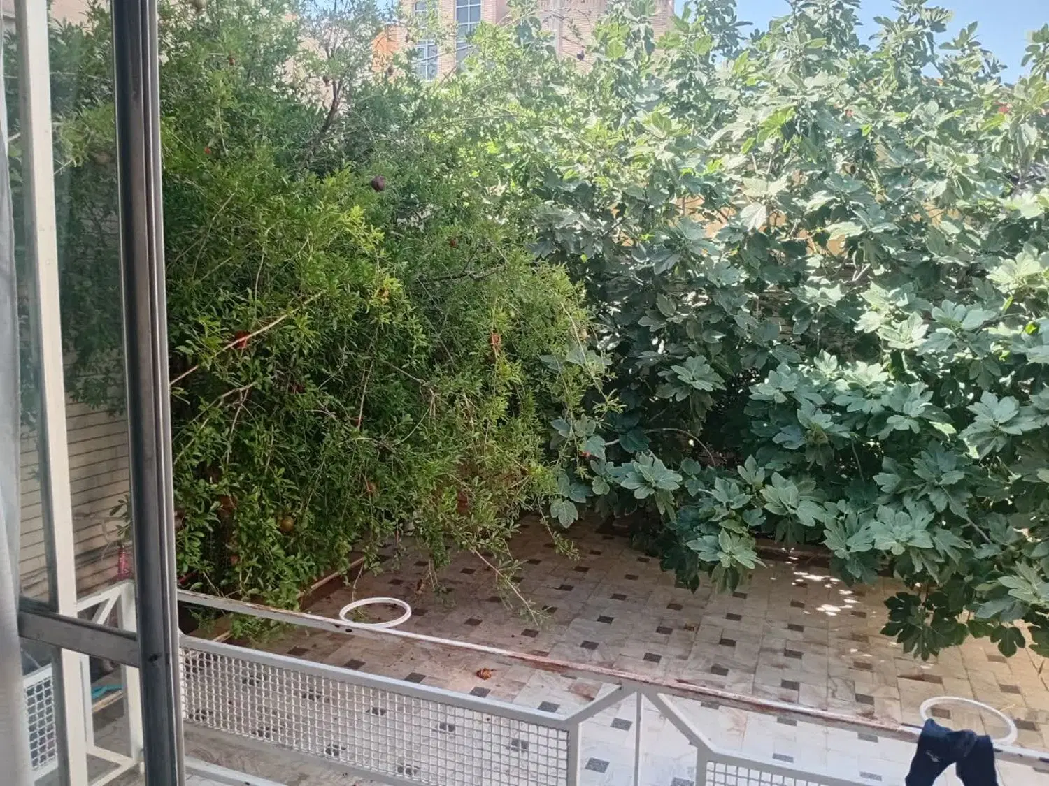 180متر مطهری شمالی