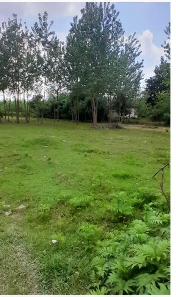 زمین مسکونی سند تک برگ در رشت روستای بجاربنه