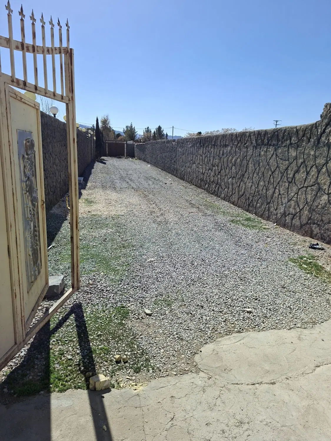 زمین باغی