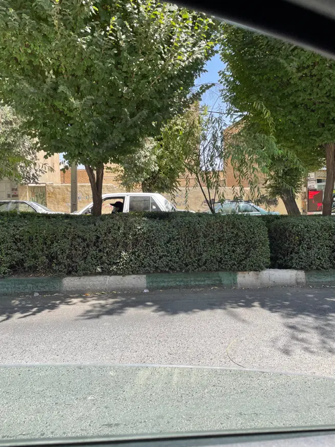 زمین مشاعی