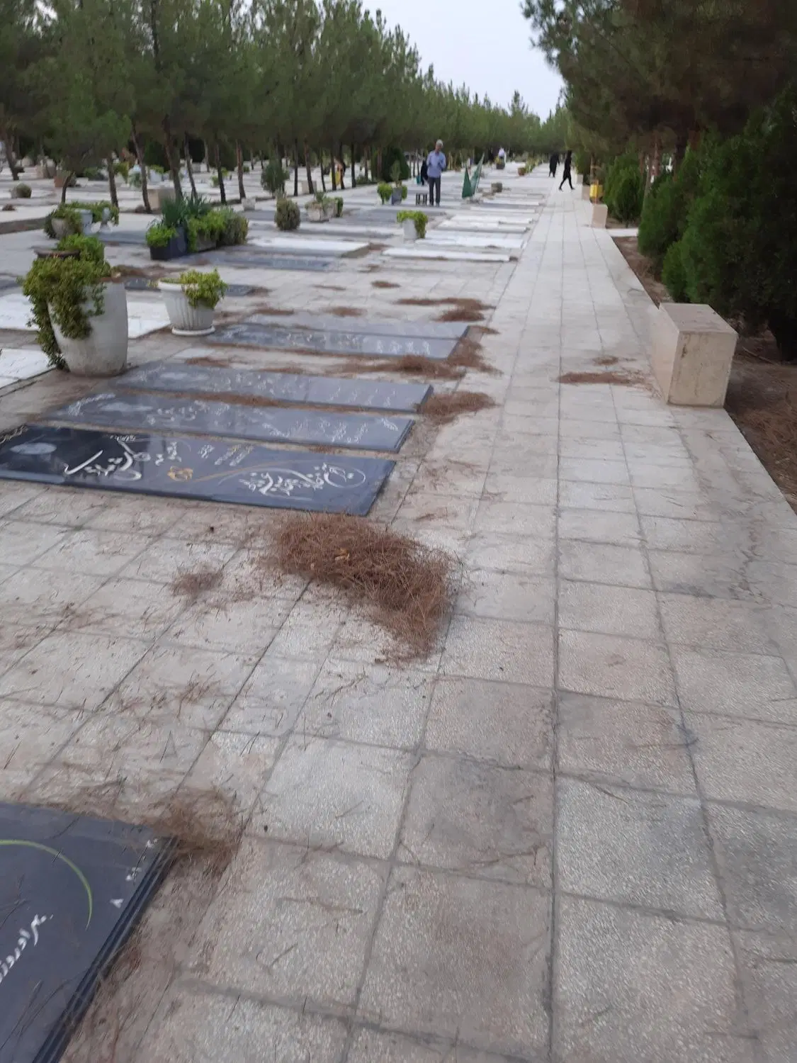 دو عدد قبر در بهشت معصومه قطعه ۱۹