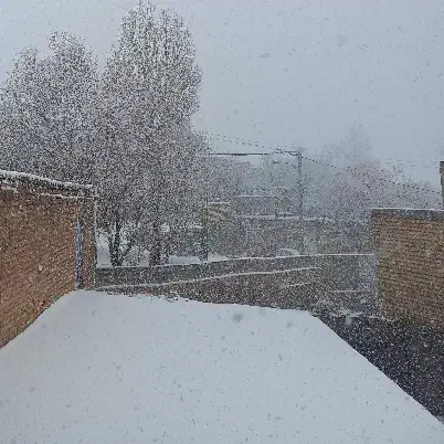 زمین .چهار دیواری