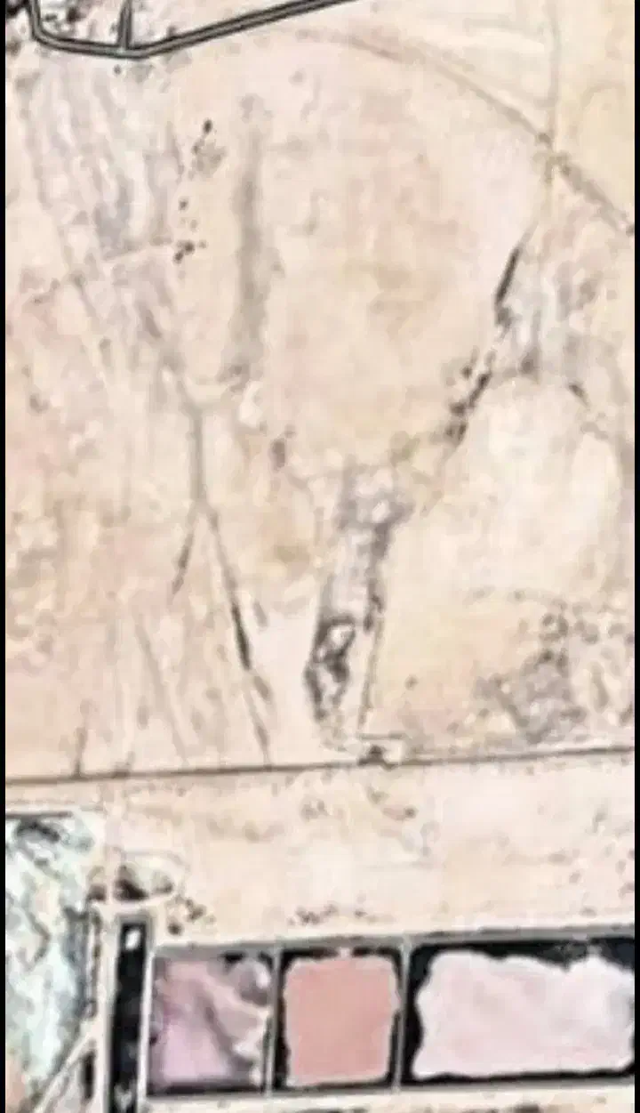 زمین کلنگی