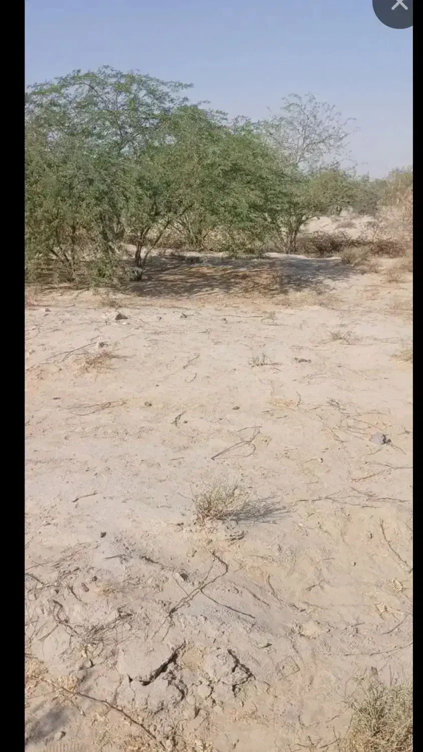 زمین مسکونی به متراژ 400متر