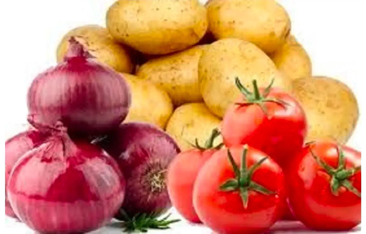 حجره میدان میوه و تره بار
