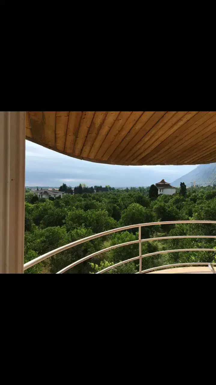 چلندر ( جنگلی )