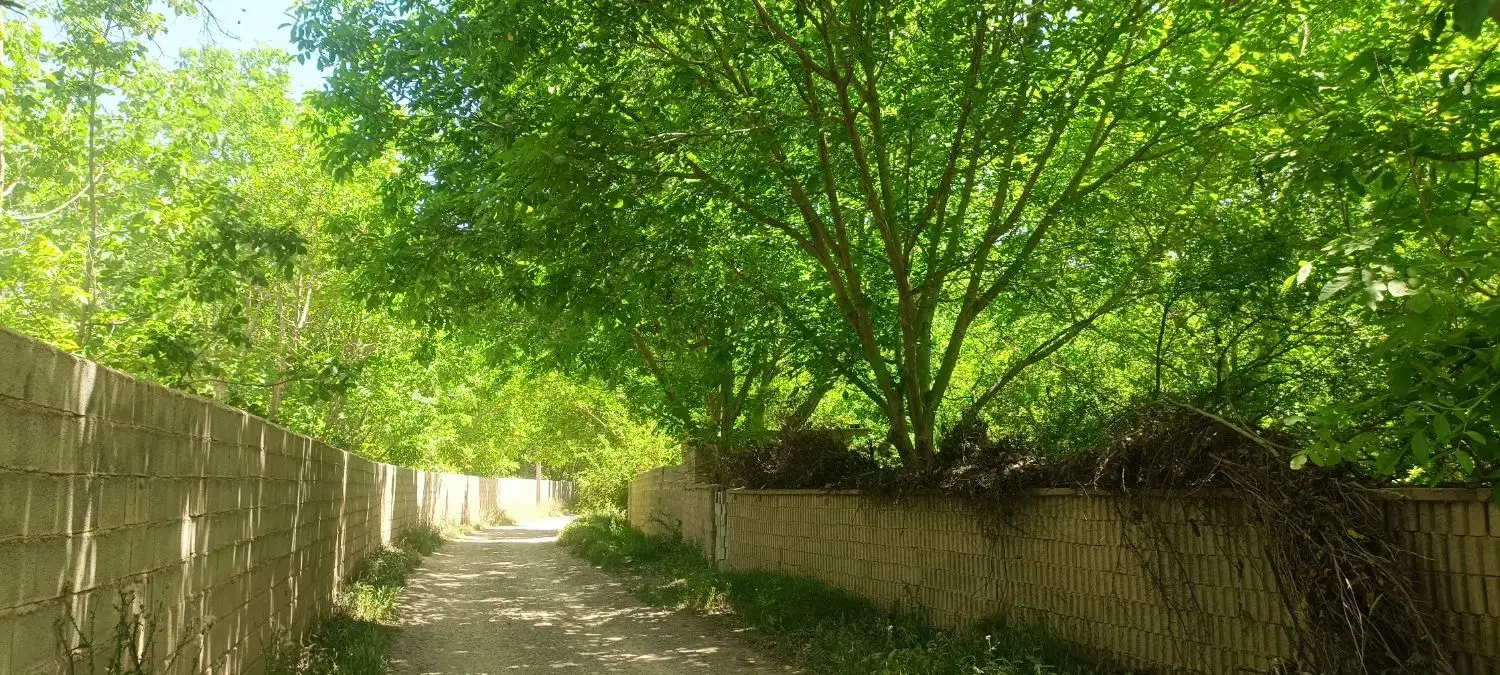 فروش استثنایی باغ زیبای 1000متری در شهر فاروق