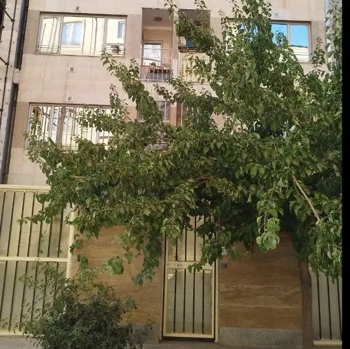اجاره