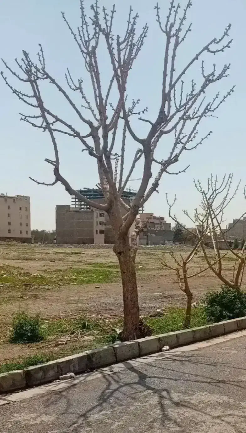 زمین دوم شرقی ۱۱۹ متر مسکونی قطعه ۲۱