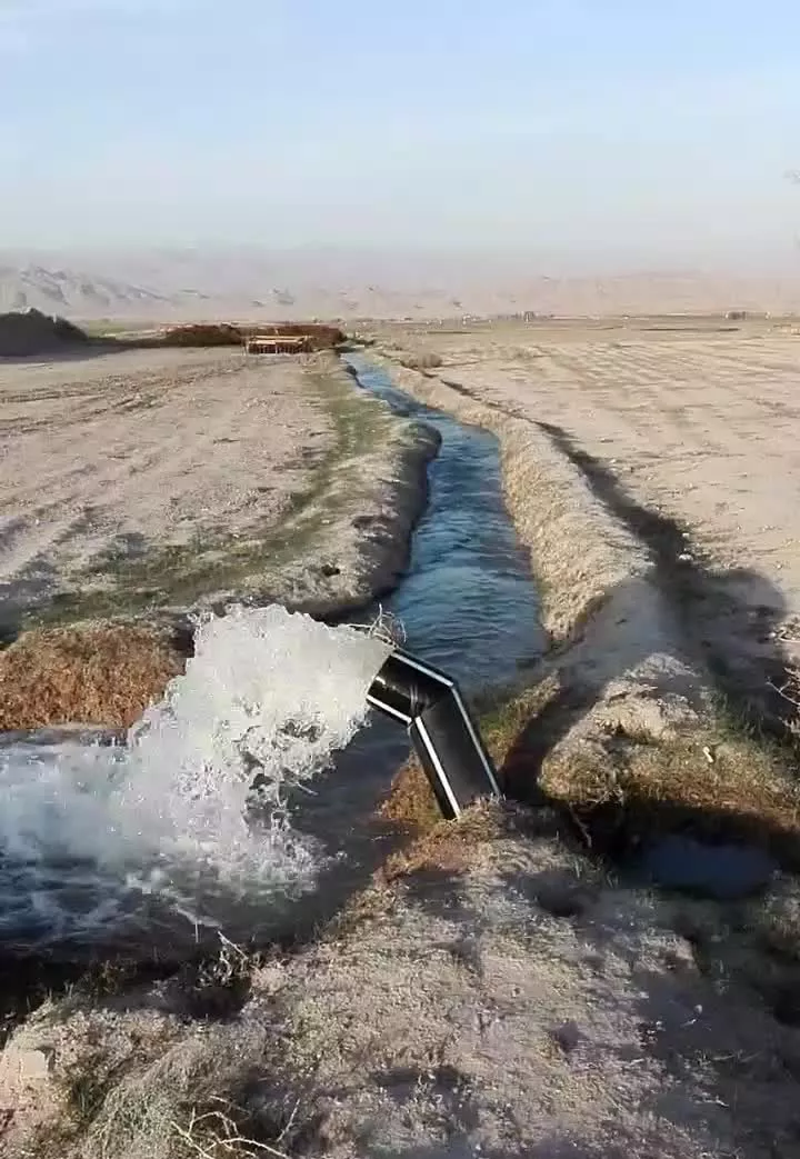 زمین