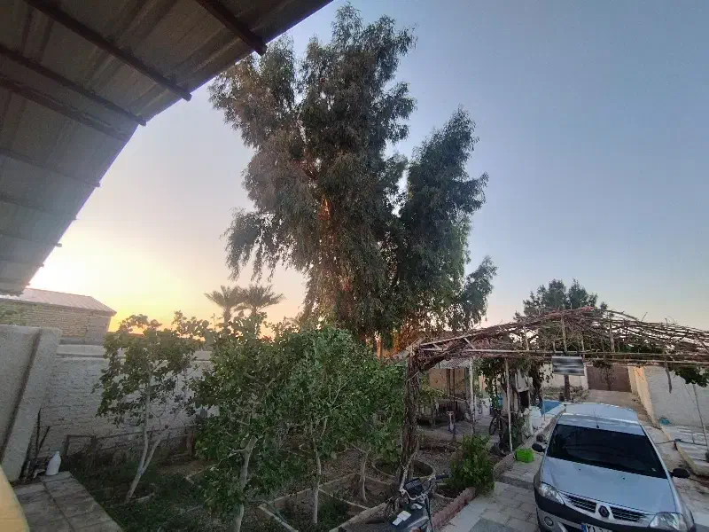 باغ ویلا