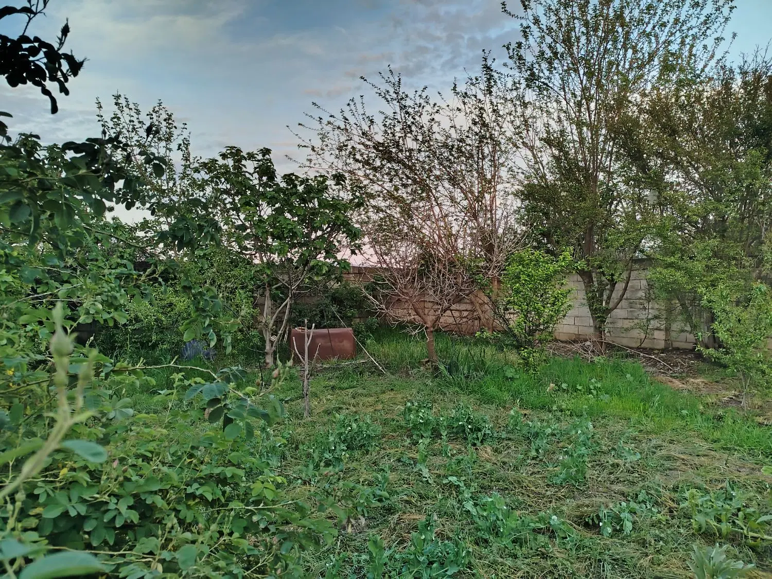 ویلایی_روستایی_۲۵۰متر