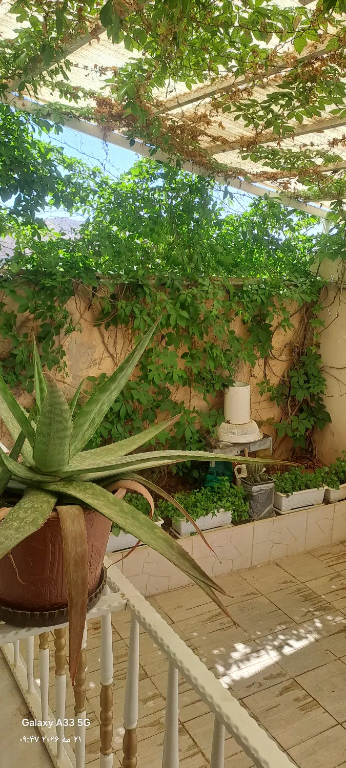 ۱۲۴مترآپارتمان