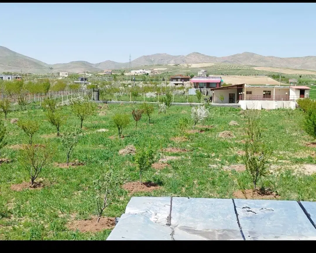 باغ۸کیلومتری  سقز صاحب