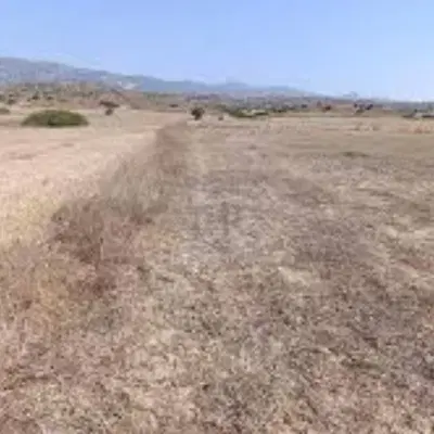 زمین پرنیان 225 متر...