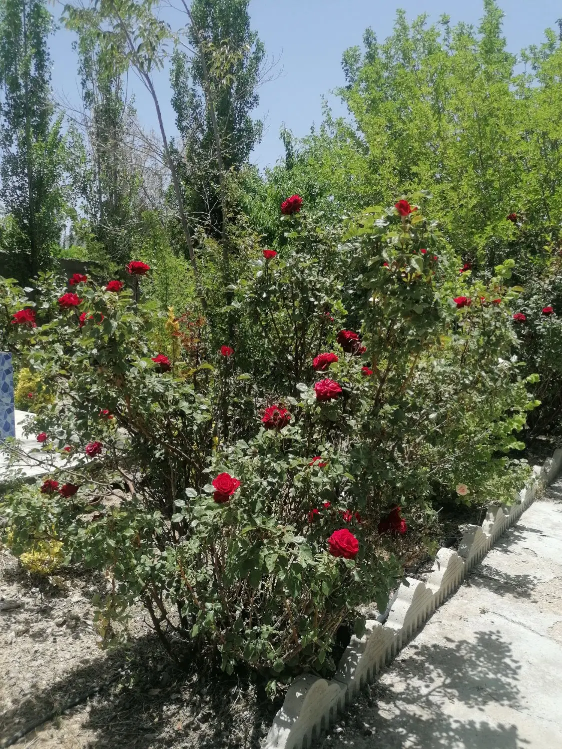 فروش. باغ ویلا